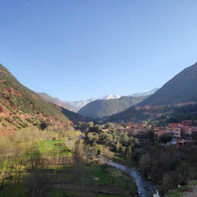 Private Luxury Day Trip to Ourika Valley From Marrakech - Highlights