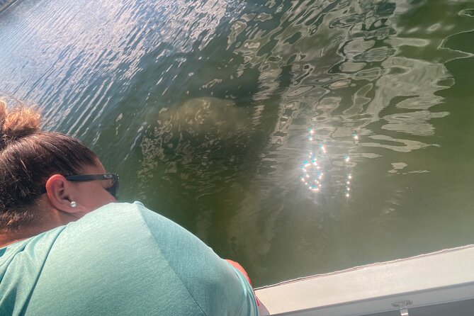 Private Manatee Boat Tour. - Tour Inclusions