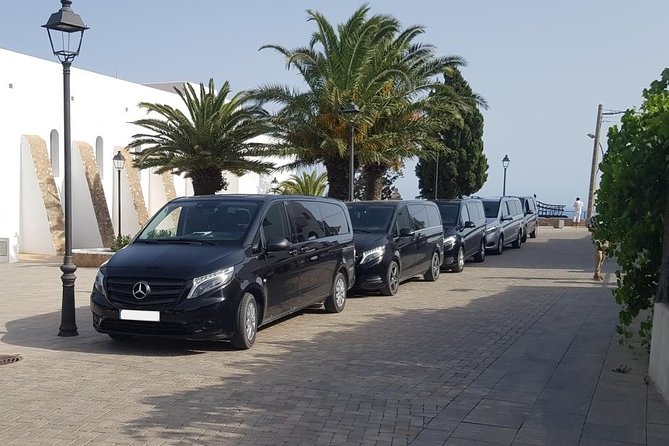 Private Minibus Transfers in Ibiza - Transfer Options and Customization