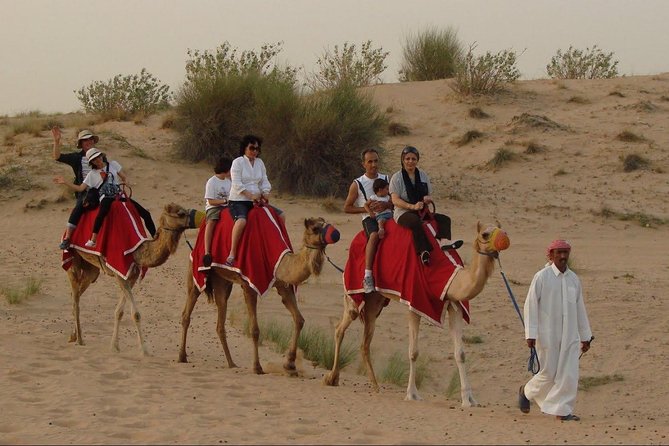 Private Morning Desert Safari of Arabian Desert With Camel Ride - Activities and Inclusions