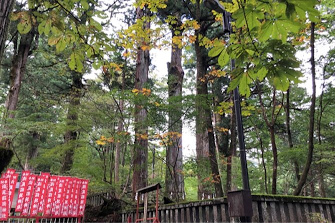 Private Morning Hike Around Nikko Toshogu Shrine - Itinerary Details