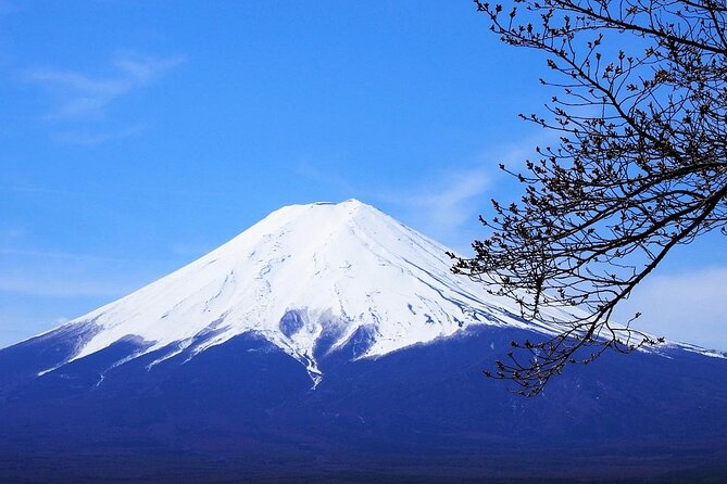 Private Mount Fuji Tour From Narita Airport /Haneda Airport/Tokyo - Meeting and Pickup