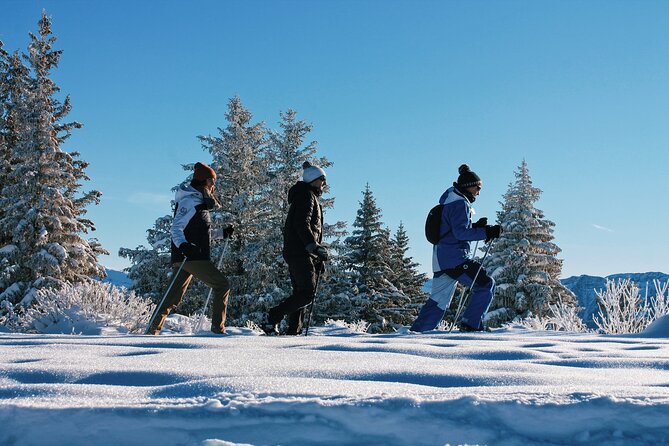 Private Mountain Snowshoe Hike From Chamonix - Tour Details