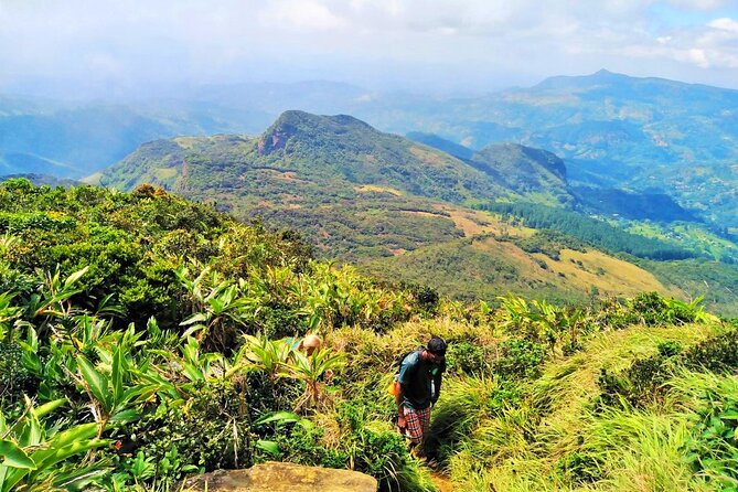 Private Multi-Day Sri Lanka Treks and Hikes Tour - Customer Feedback and Ratings