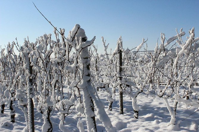 Private Niagara Ice Wine Tour - Customer Reviews