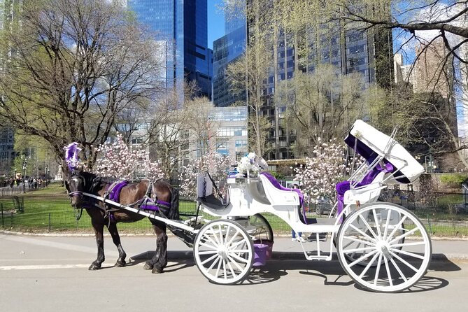 Private NYC Central Park Horse Carriage Ride (Guided) Since 1965 - Inclusions and Amenities