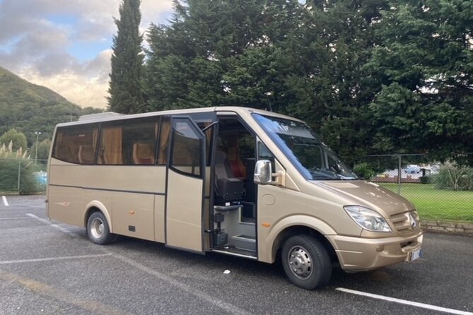 Private One Way Transfer Nice Côte Dazur Airport (Nce) - Accessibility and Amenities