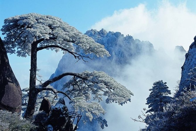 Private Photography Day Tour of Huangshan Yellow Mountain - Local Guide Assistance