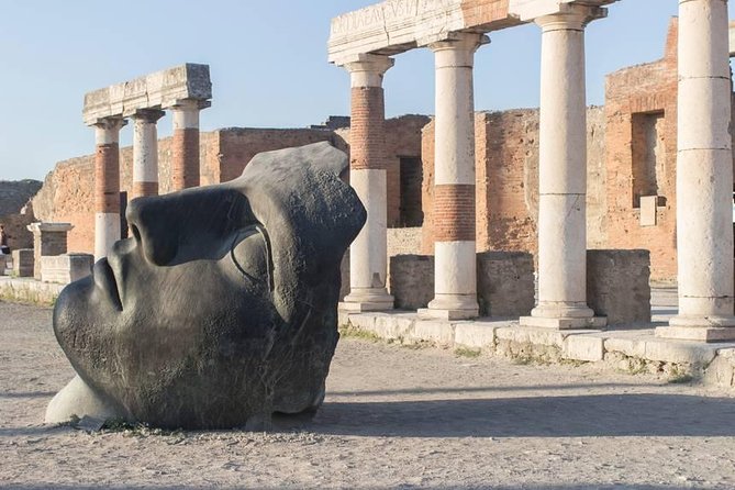 Private Pompeii Day Trip From Rome - Inclusions and Logistics