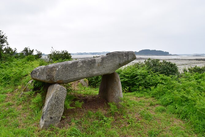 Private Prehistory Tour of the Pink Granite Coast - Pricing Details