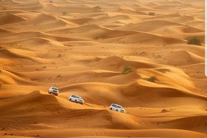 Private Red Dunes Desert Safari Dubai - Traveler Reviews