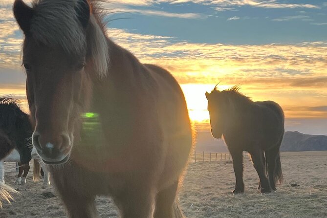 Private Reykjanes Peninsula Guided Tour - Pickup and Start Details