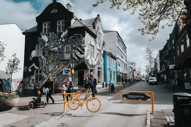 Private Reykjavik Street Art Walking Tour - The Instagram Tour - Viator Information