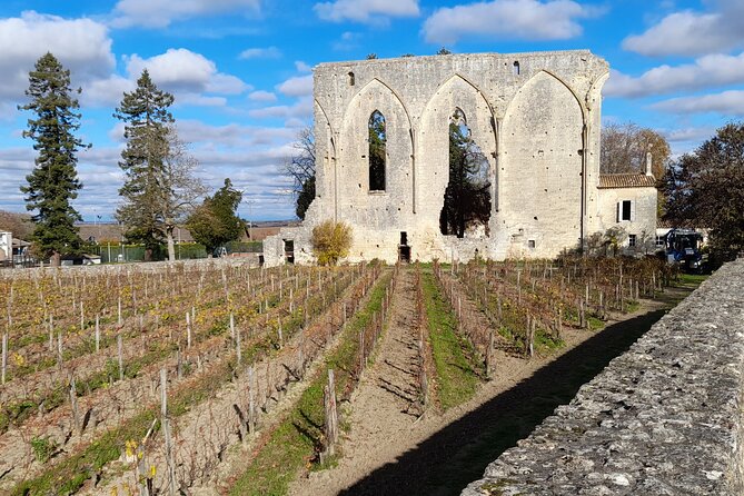 Private Saint Emilion Tour With Wine Tasting - Weather-Related Considerations