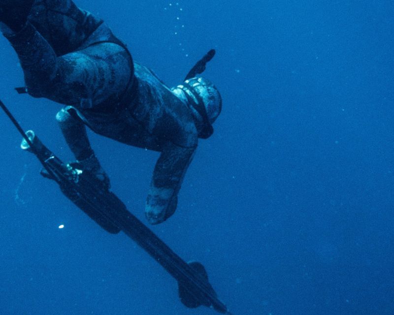 Private Sayulita Spearfishing: Inshore Adventure All Levels - Duration and Scheduling