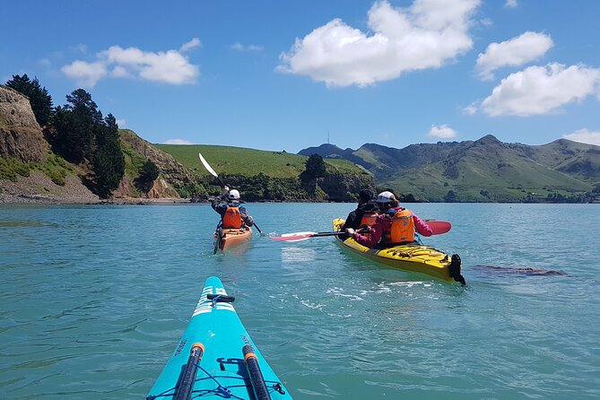 Private Sea Kayaking Tour From Christchurch/Lyttleton - Inclusions and Amenities