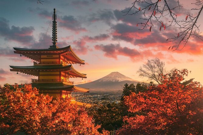 Private Sedan One-Day Mount Fuji Tour - Cancellation Policy