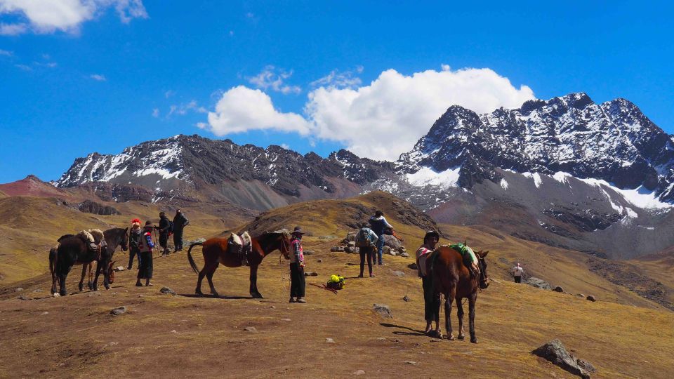 Private Service Full Day Rainbow Mountain Horseback Riding - Experience Highlights and Inclusions