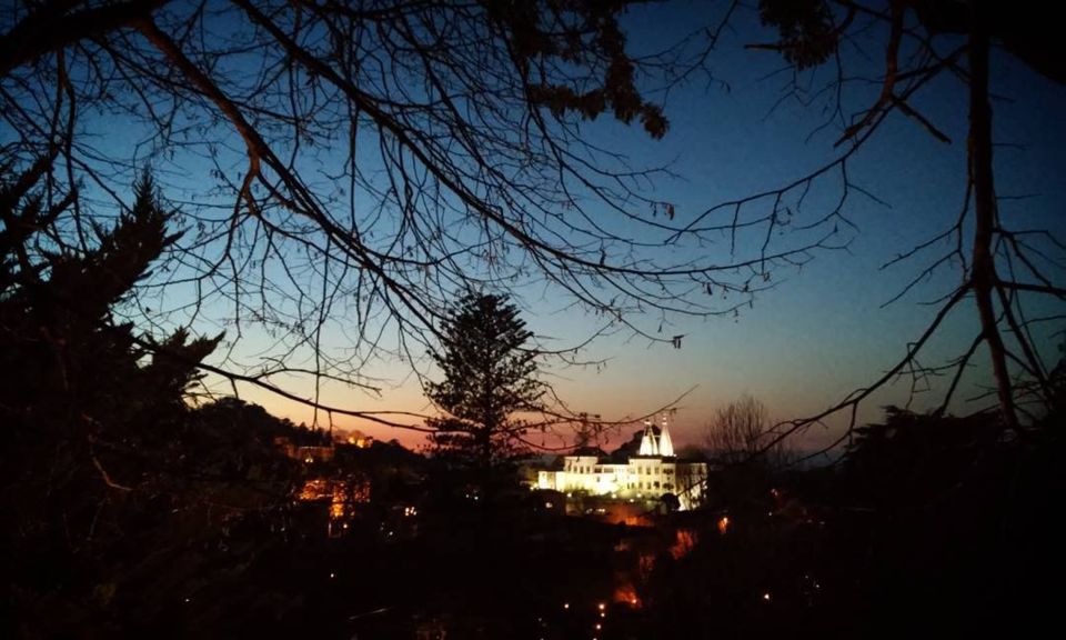 Private Sintra Night Walk: "Dreams in the Woods" - Experience Highlights