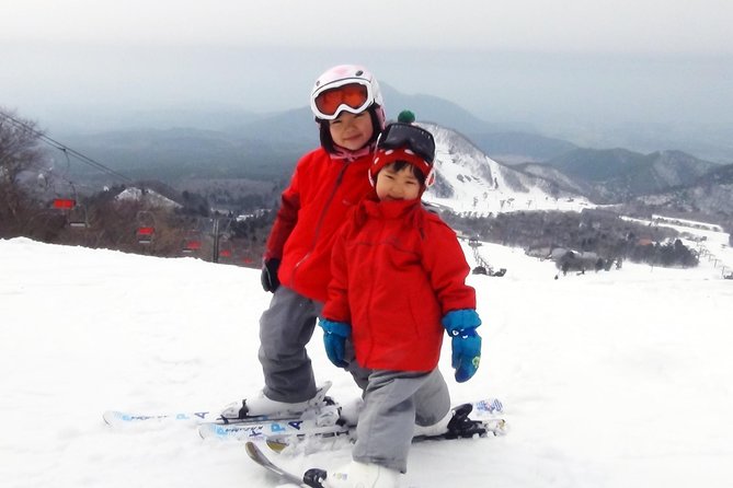 Private Ski Lesson for Family or Group(Transport Included ) - Accessibility and Safety