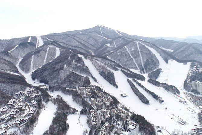 PRIVATE SKI TOUR in Pyeongchang Olympic Ski Resort(More Members Less Cost) - Cancellation Policy Specifics