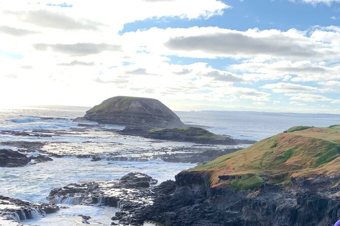 Private Small Group Tour of 2-6pax in Great Ocean Road Melbourne - Inclusions