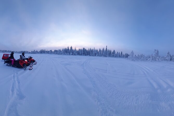 Private Snowmobile Experience in Rovaniemis Forest - Scenic Exploration of Lappish Wilderness