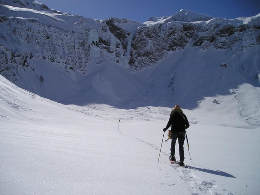 Private Snowshoeing Full Day - Experience Highlights