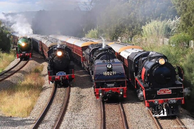 Private Sydney Rail Tours - See Best Sights by Train - Sightseeing Highlights