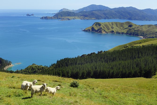 Private The Coromandel Tour - Auckland Tour House - Tour Details