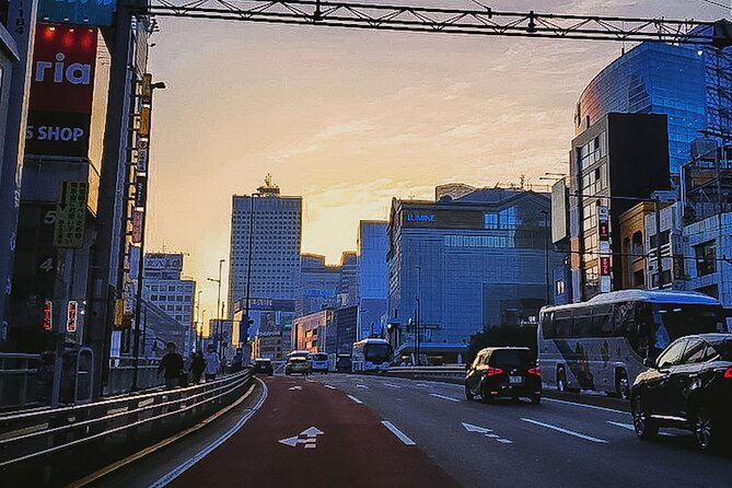 Private Tokyo Shinjuku Bus Tour With Licensed Guide - Meeting and Pickup