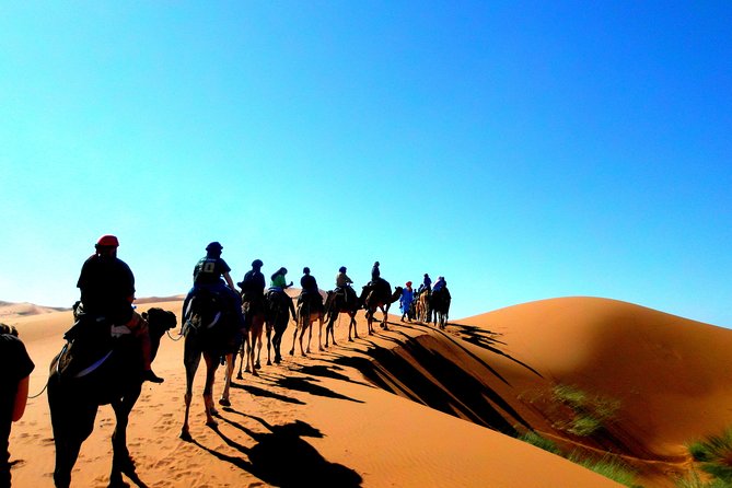 Private Tour 10 Days From Casablanca to Imperial Cities and Sahara Desert - Accommodation Details