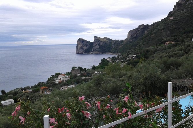 Private Tour Amalfi Coast, Pompeii in Minivan With Driver - Transparent Tour Pricing and Booking