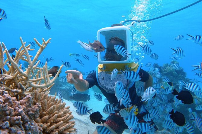 Private Tour: Aqua Safari Scuba Diving - Tour Inclusions