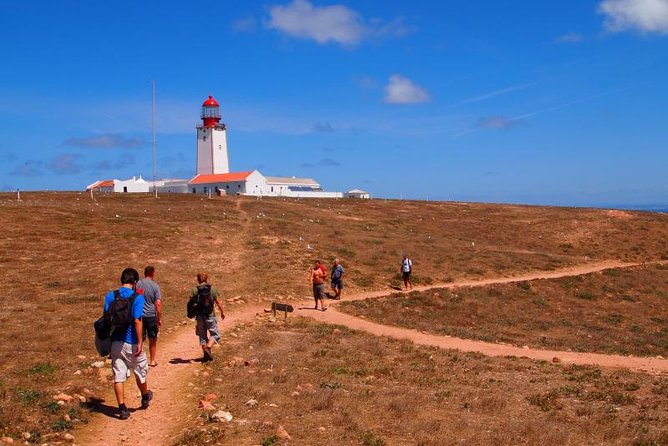 Private Tour: Berlenga Grande Island Day Trip From Lisbon - Customer Feedback on Guides