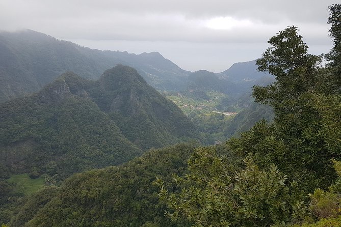 Private Tour East Madeira - Tour Details