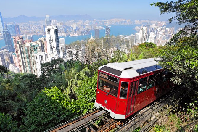 Private Tour: Half-Day Highlights Tour of Hong Kong Island - Private Tour Option