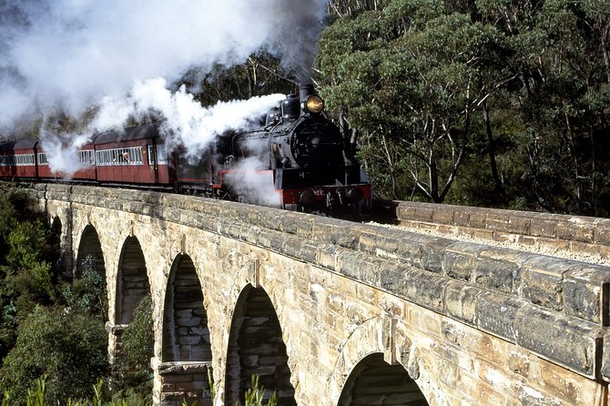 [Private Tour] Healesville Sanctuary Wildlife & Puffing Billy Steam Train - Sustainable Wildlife Encounters