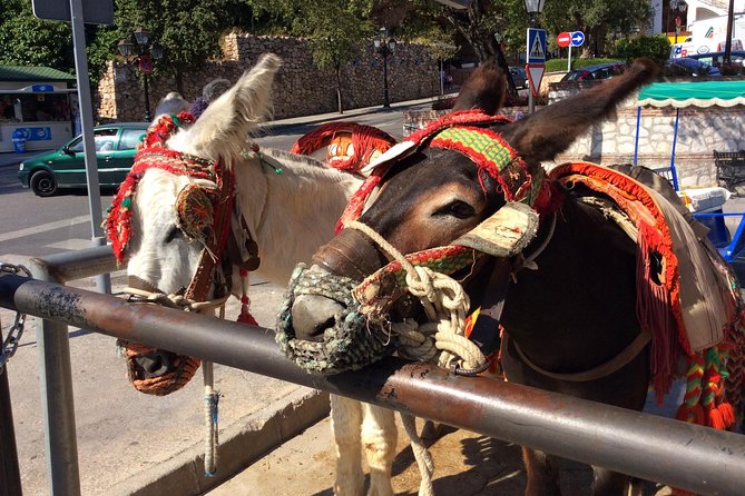 Private Tour in Mijas Pueblo From Costa Del Sol - Tour Specifics and Details