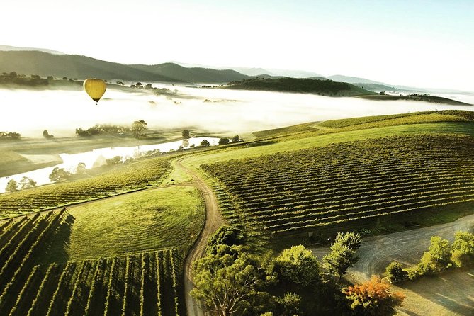 [PRIVATE TOUR] Mount Dandenong and Yarra Valley Winery Tour - Pricing Information