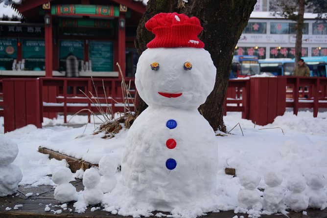 [Private Tour] Nami Island & Ski (Ski Lesson, Equip & Clothing Included) - Pricing and Group Rates