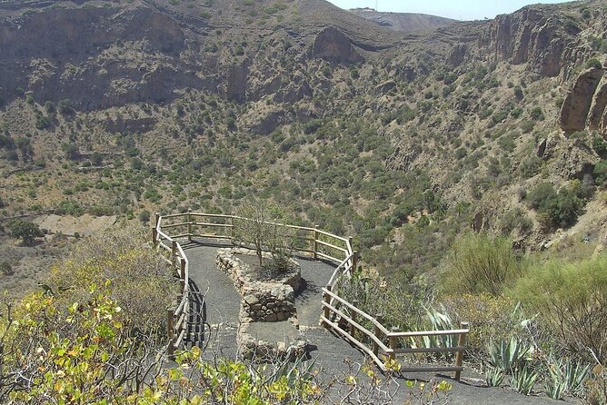 Private Tour of Gran Canaria Volcano and Canary Wine Tasting - Customer Reviews