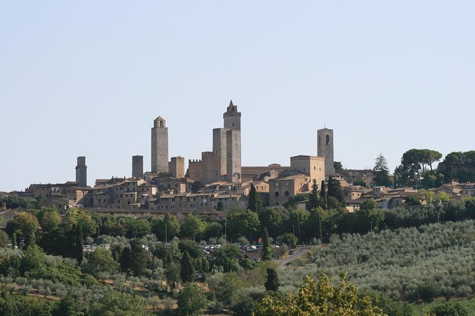 Private Tour of San Gimignano & Siena - Traveler Reviews and Ratings