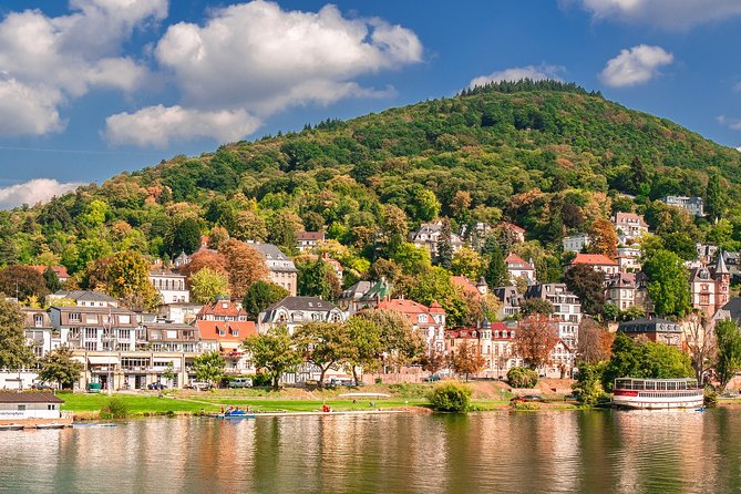 Private Tour of the Best of Heidelberg- Sightseeing, Food & Culture With a Local - Local Gastronomic Delights