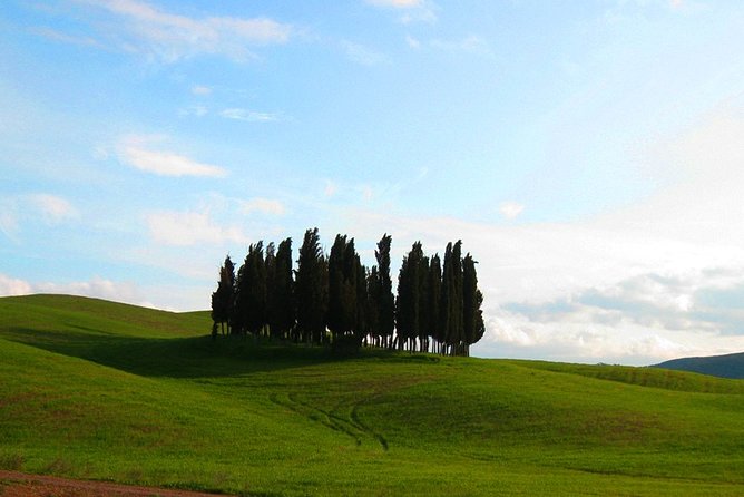 Private Tour: Pienza and Montalcino Organic Cheese and Wine Tour - Logistics and Refund Policy
