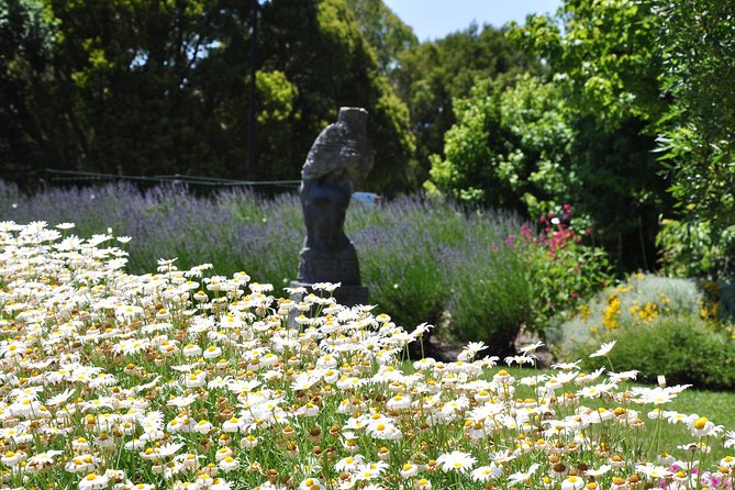 [PRIVATE TOUR] Puffing Billy and Dandenong Mountains - Local Area Insights