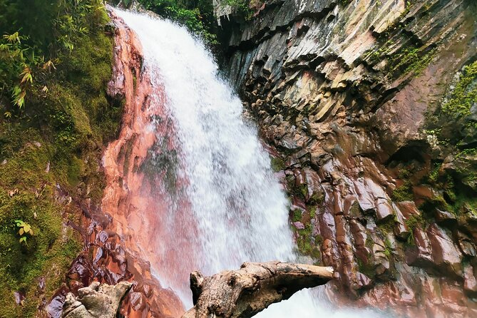 Private Tour Pulangbato Falls Tour & Hot Spring From Dumaguete - Meeting Point