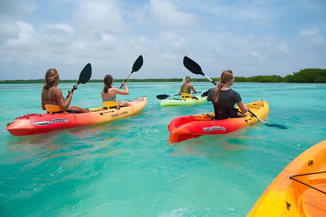 Private Tour Purple Island Mangroves Kayaking Adventure in Qatar - Cancellation Policy Details