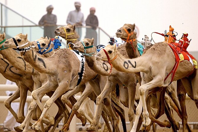 Private Tour Sheikh Faisal Museum and Camel Racing Track - Tour Pricing and Inclusions