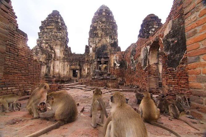 Private Tour to Ayutthaya and Lopburi Monkey Temple (From Bangkok) - Logistics and Accessibility